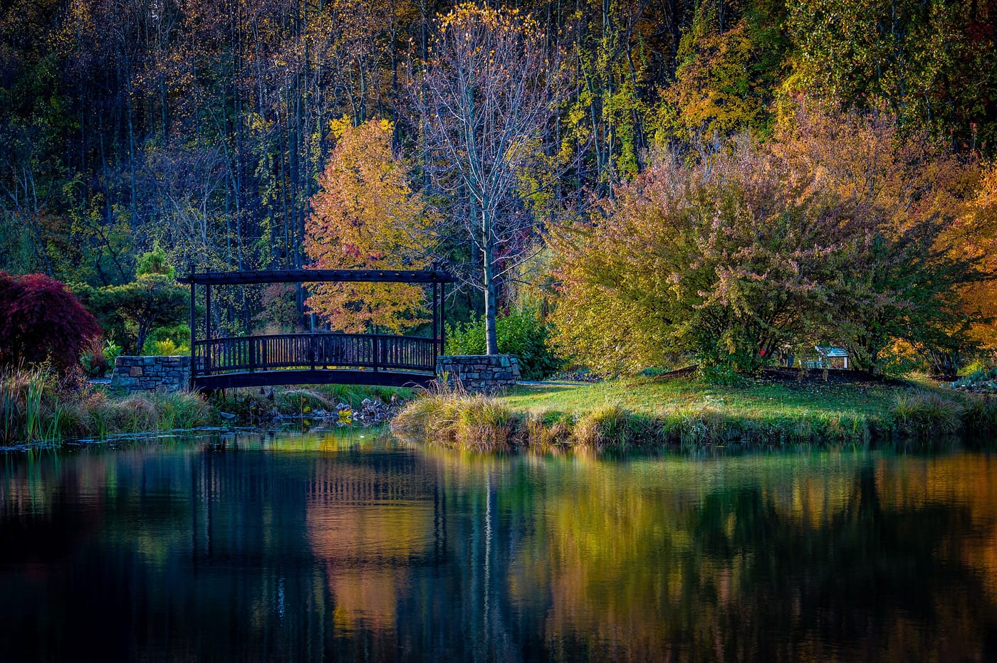 A pond and gazebo under autumn trees at Meadowlark Botanical Gardens