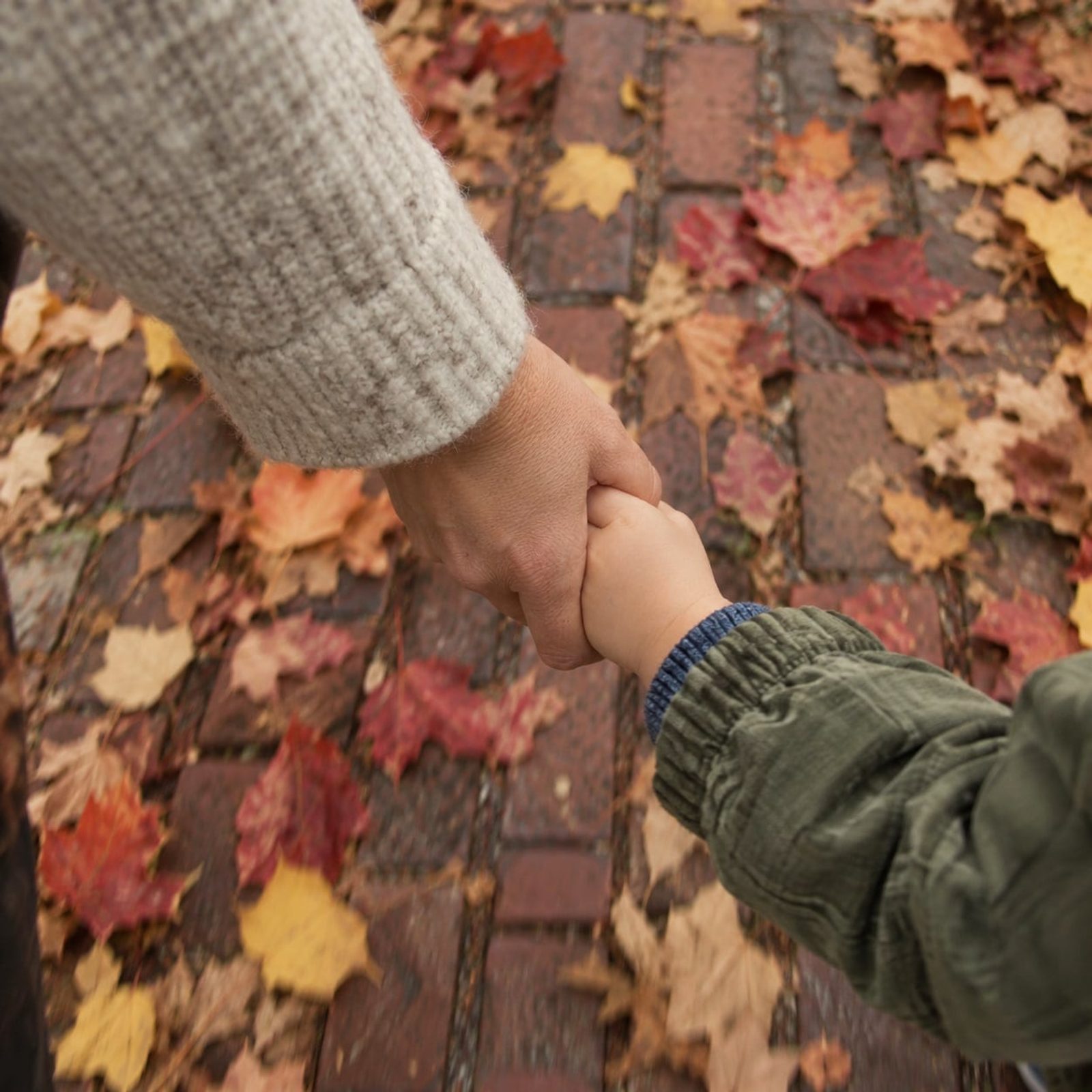 A parent’s hand holding a small child’s hand on a leaf-covered sidewalk