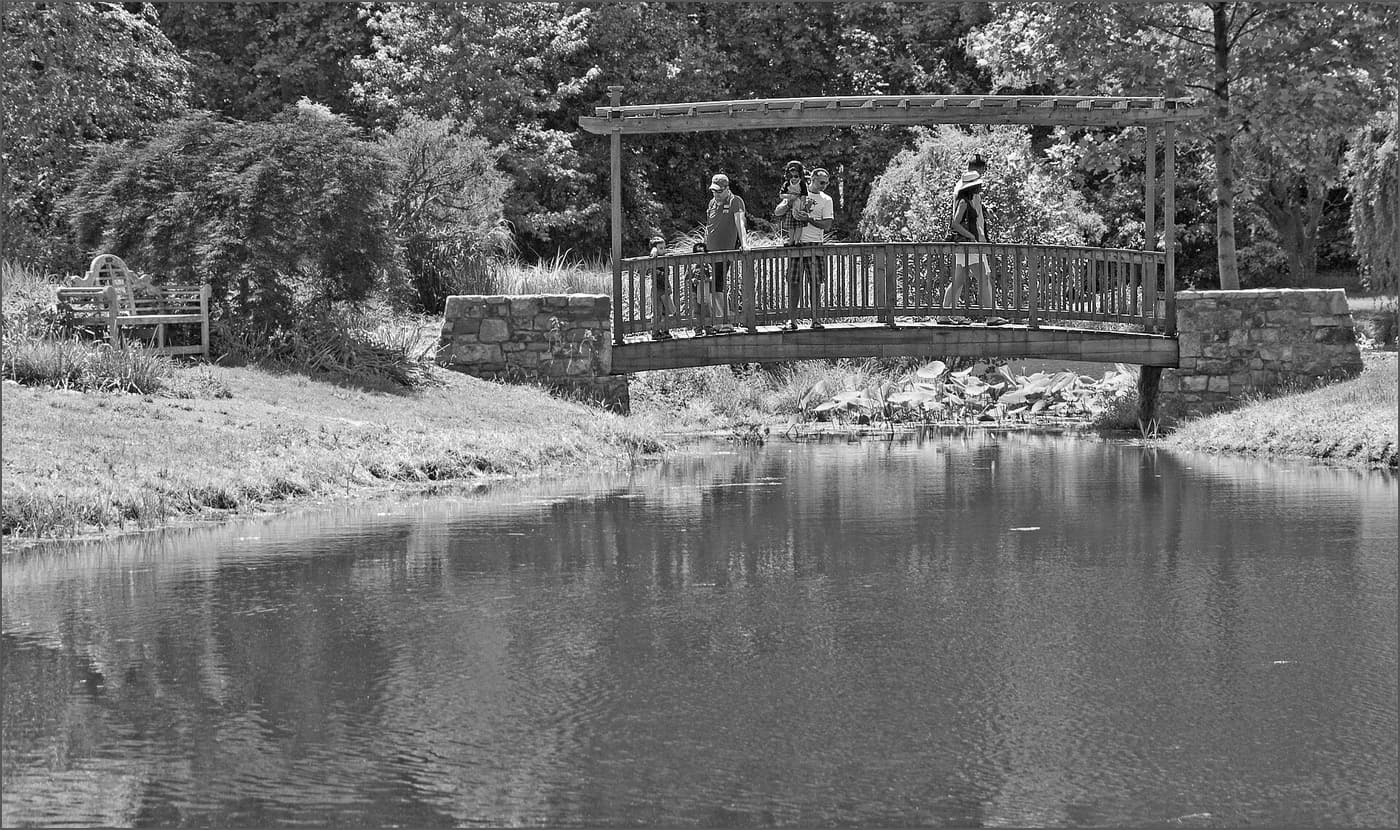 A wooden footbridge over a pond at Meadowlark Botanical Gardens.