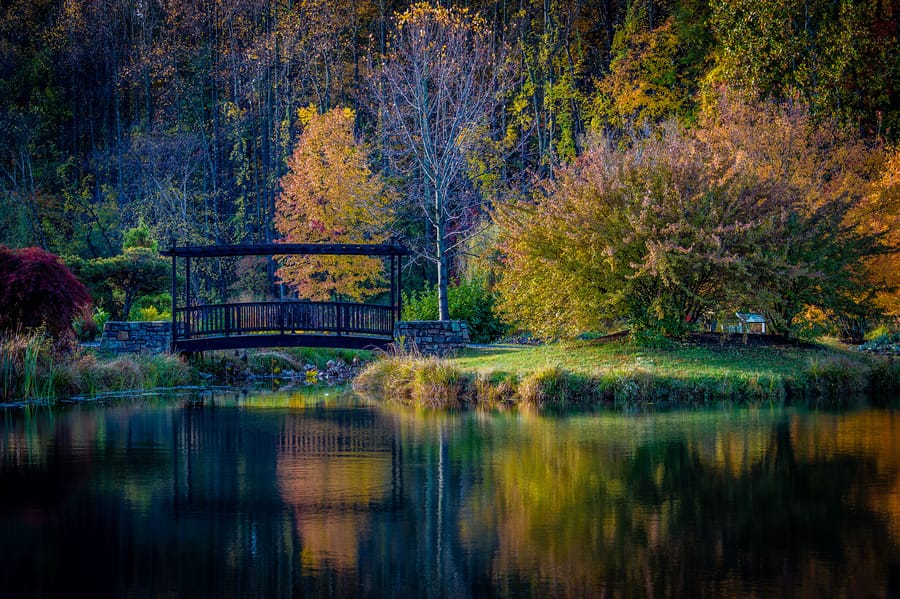 A pond and footbridge among autumn trees at Meadowlark Botanical Gardens