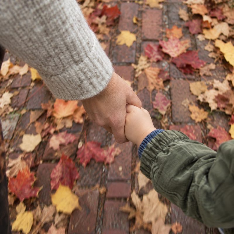 A parent's hand holding a small child's hand on a leafy sidewalk