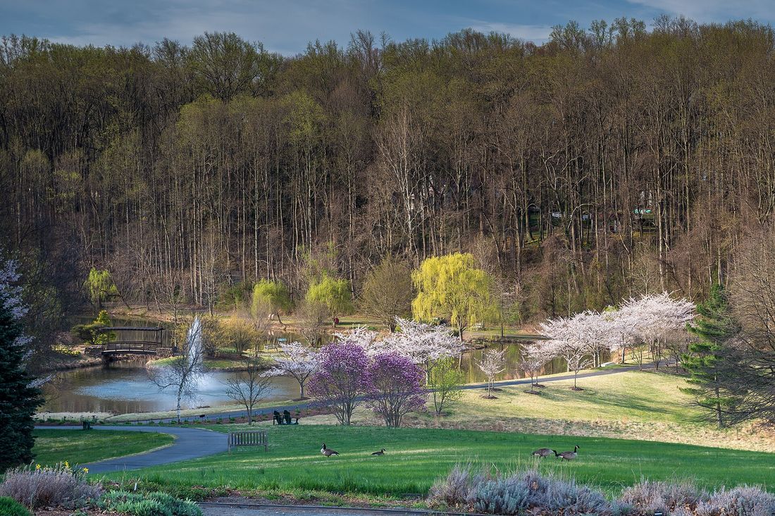 Meadowlark Botanical Gardens in spring