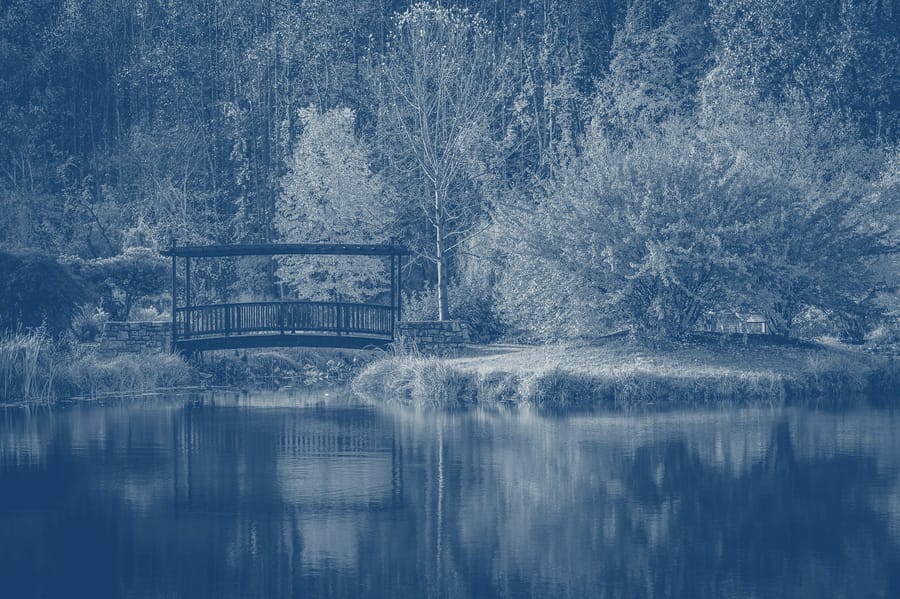 A footbridge over the pond at Meadowlark Botanical Gardens in autumn