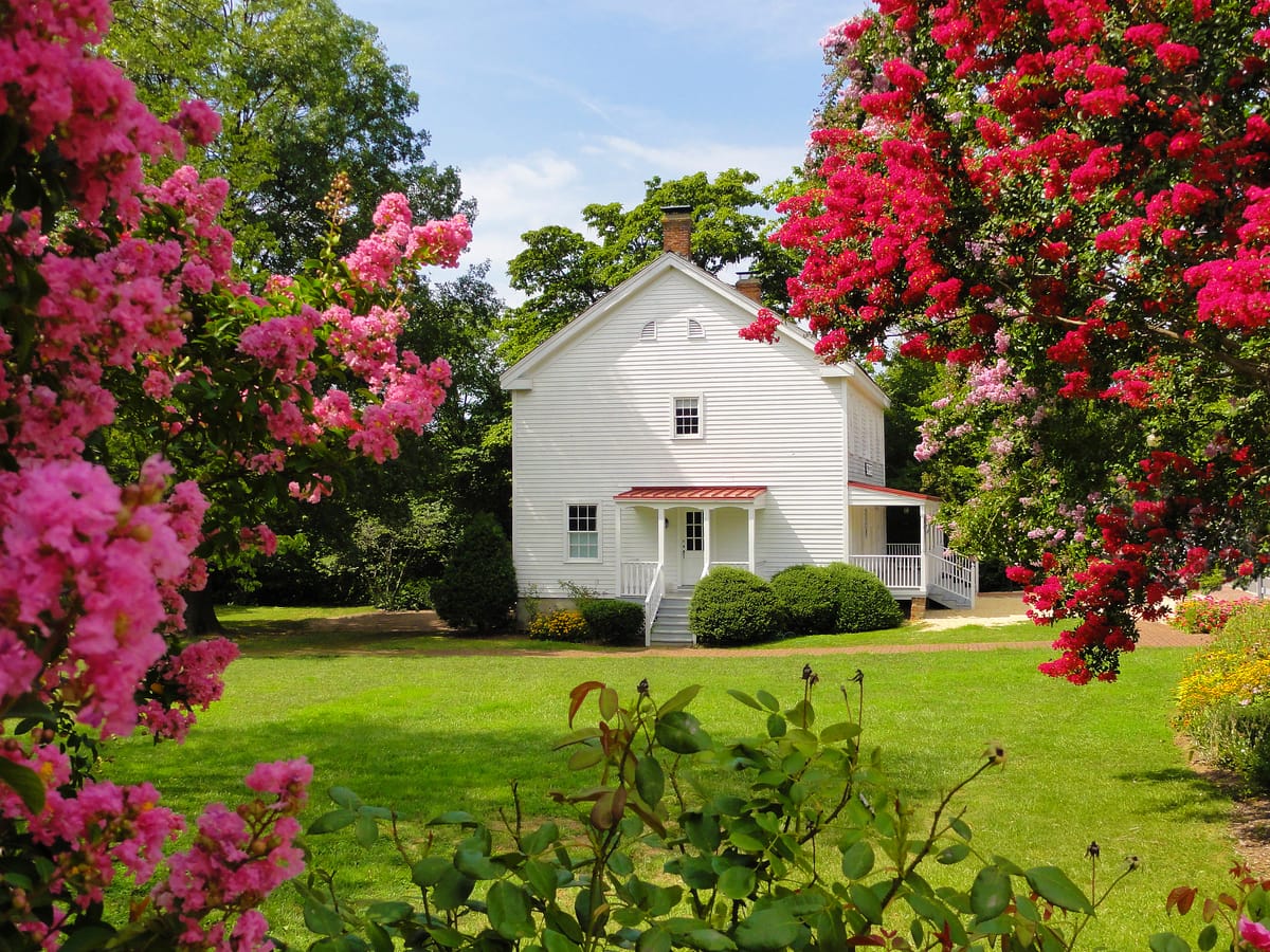 The Freeman Store on Church Street, Vienna, framed by crape myrtles in bloom
